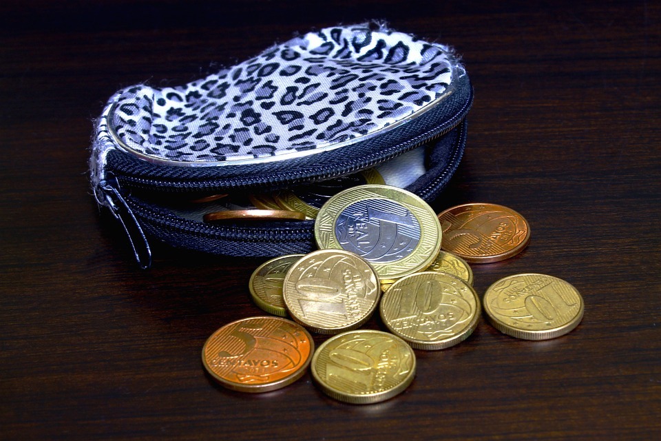Purse