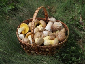 Basket as storage